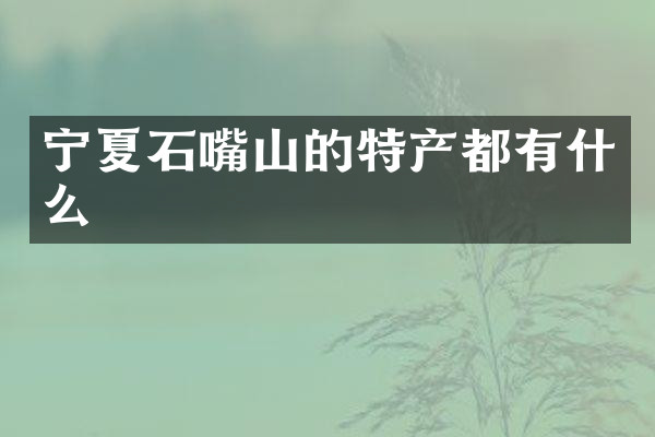 宁夏石嘴山的特产都有什么