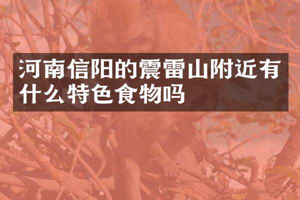 河南信阳的震雷山附近有什么特色食物吗