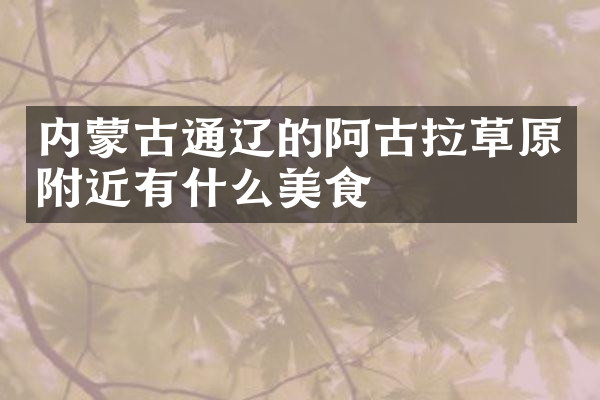 内蒙古通辽的阿古拉草原附近有什么美食