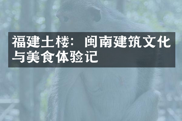 福建土楼：闽南建筑文化与美食体验记