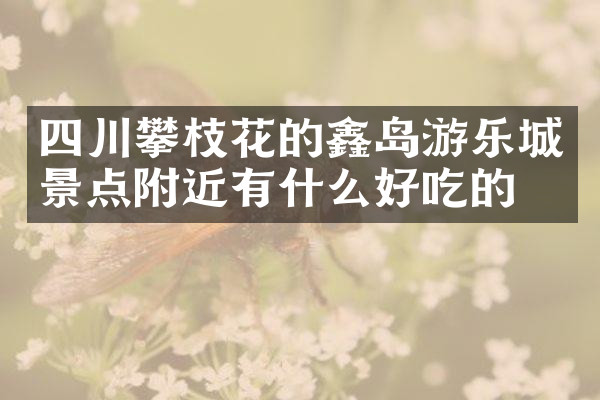 四川攀枝花的鑫岛游乐城景点附近有什么好吃的