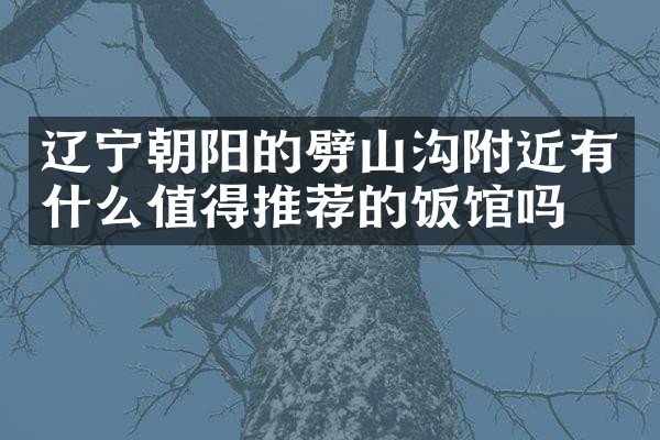 辽宁朝阳的劈山沟附近有什么值得推荐的饭馆吗