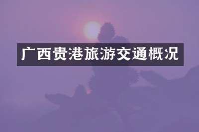 广西贵港旅游交通概况