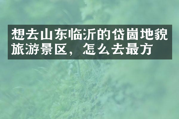 想去山东临沂的岱崮地貌旅游景区，怎么去最方便