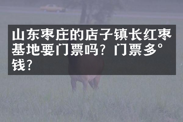 山东枣庄的店子镇长红枣基地要门票吗？门票多少钱？