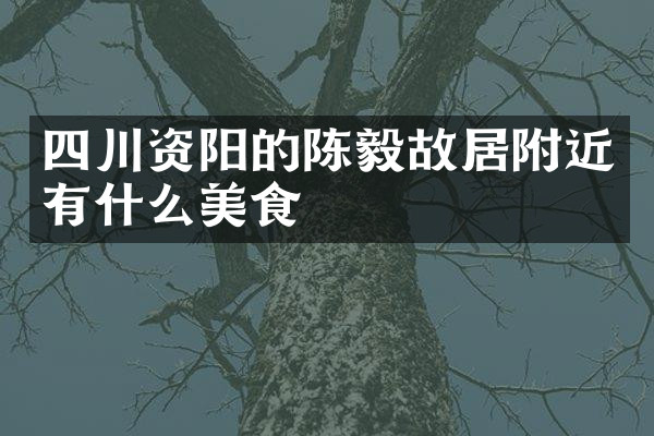 四川资阳的陈毅故居附近有什么美食