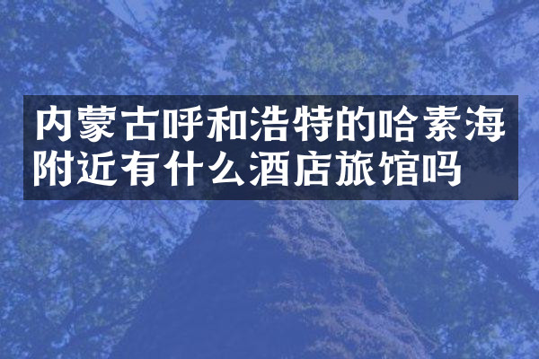 内蒙古呼和浩特的哈素海附近有什么酒店旅馆吗