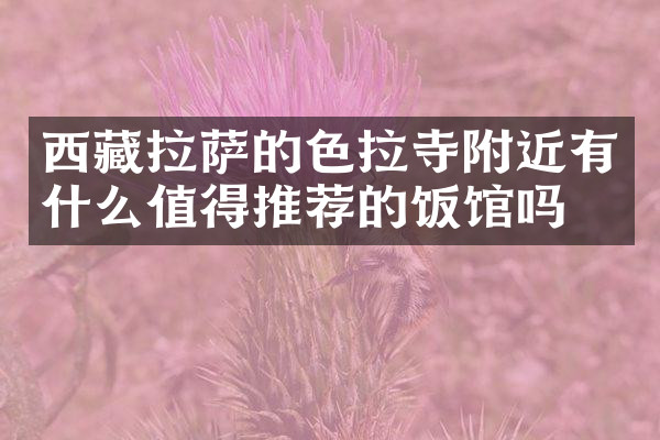 西藏拉萨的色拉寺附近有什么值得推荐的饭馆吗