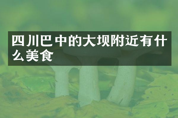 四川巴中的大坝附近有什么美食
