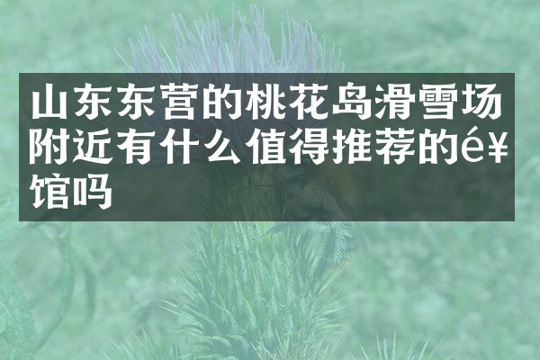 山东东营的桃花岛滑雪场附近有什么值得推荐的饭馆吗