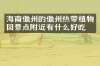 海南儋州的儋州热带植物园景点附近有什么好吃的