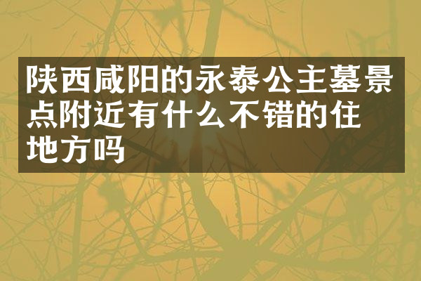 陕西咸阳的永泰公主墓景点附近有什么不错的住的地方吗