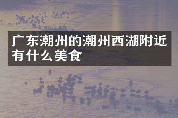 广东潮州的潮州西湖附近有什么美食
