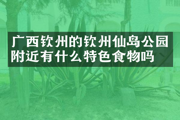 广西钦州的钦州仙岛公园附近有什么特色食物吗