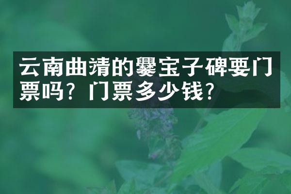 云南曲靖的爨宝子碑要门票吗？门票多少钱？