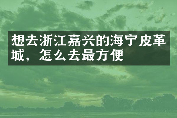 想去浙江嘉兴的海宁皮革城，怎么去最方便