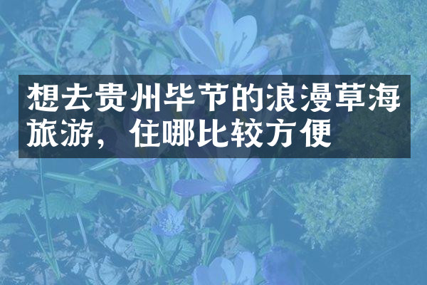 想去贵州毕节的浪漫草海旅游，住哪比较方便