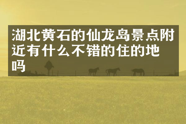 湖北黄石的仙龙岛景点附近有什么不错的住的地方吗