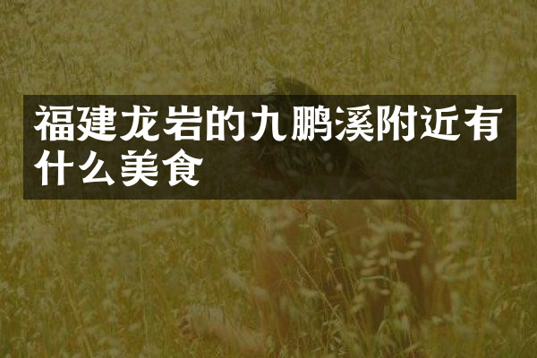 福建龙岩的九鹏溪附近有什么美食