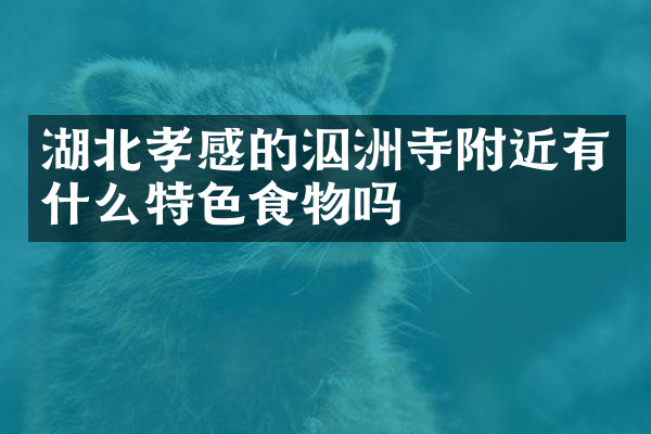 湖北孝感的泅洲寺附近有什么特色食物吗