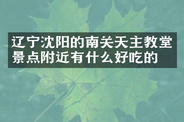 辽宁沈阳的南关天主教堂景点附近有什么好吃的