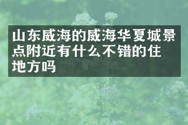 山东威海的威海华夏城景点附近有什么不错的住的地方吗