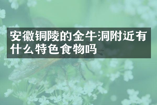 安徽铜陵的金牛洞附近有什么特色食物吗