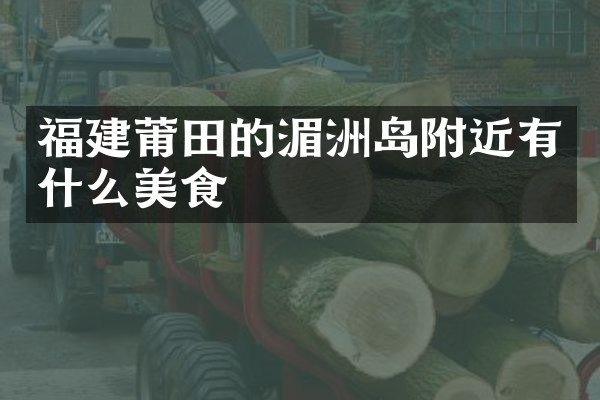 福建莆田的湄洲岛附近有什么美食
