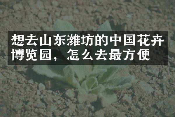 想去山东潍坊的中国花卉博览园，怎么去最方便