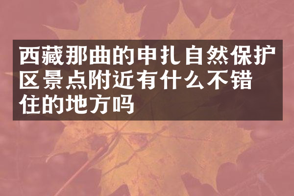 西藏那曲的申扎自然保护区景点附近有什么不错的住的地方吗