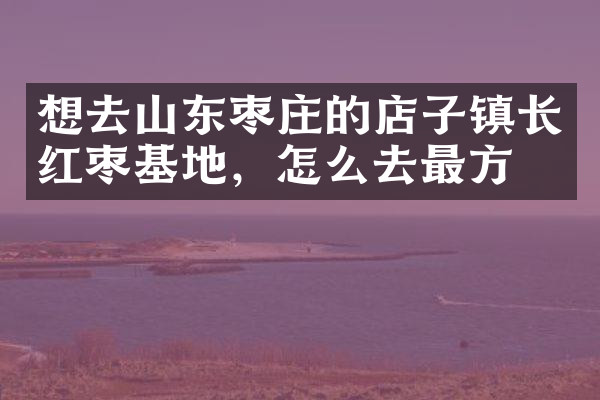 想去山东枣庄的店子镇长红枣基地，怎么去最方便