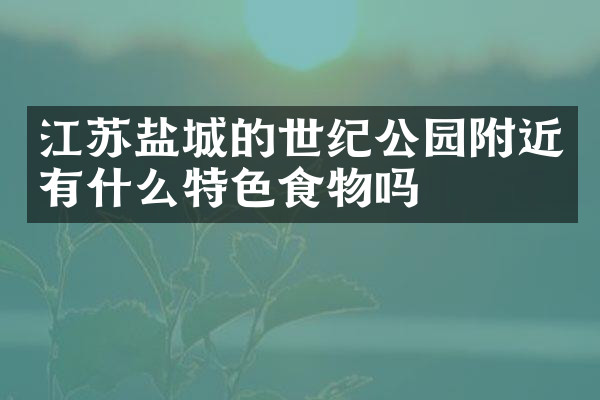 江苏盐城的世纪公园附近有什么特色食物吗