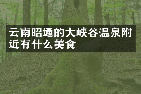 云南昭通的大峡谷温泉附近有什么美食