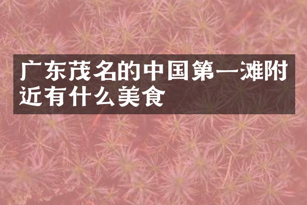 广东茂名的中国第一滩附近有什么美食