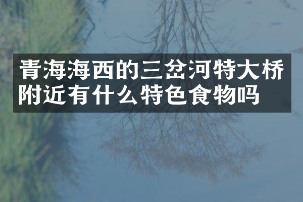青海海西的三岔河特大桥附近有什么特色食物吗
