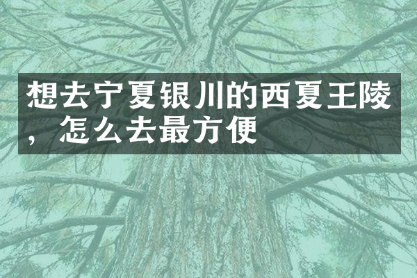 想去宁夏银川的西夏王陵，怎么去最方便