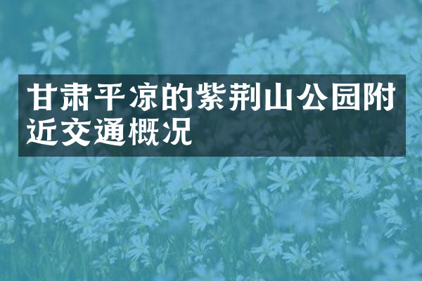 甘肃平凉的紫荆山公园附近交通概况