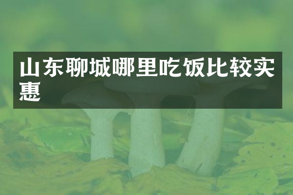 山东聊城哪里吃饭比较实惠