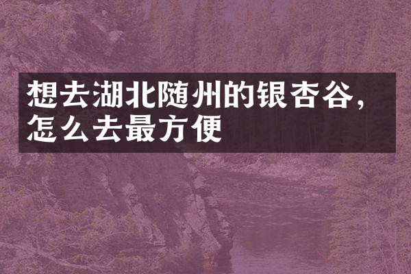 想去湖北随州的银杏谷，怎么去最方便