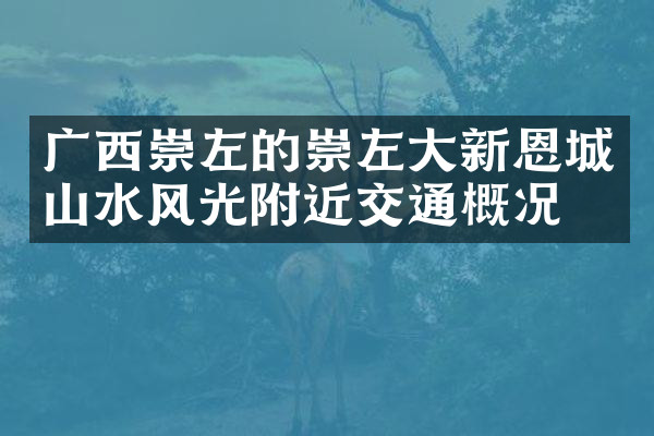广西崇左的崇左大新恩城山水风光附近交通概况