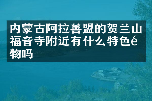 内蒙古阿拉善盟的贺兰山福音寺附近有什么特色食物吗