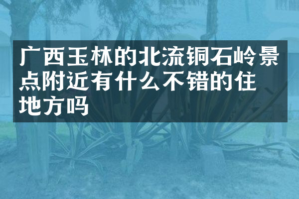 广西玉林的北流铜石岭景点附近有什么不错的住的地方吗
