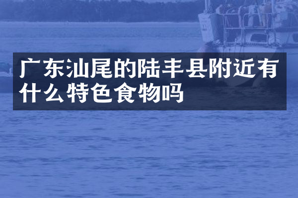 广东汕尾的陆丰县附近有什么特色食物吗