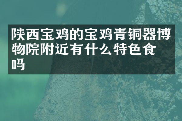 陕西宝鸡的宝鸡青铜器博物院附近有什么特色食物吗