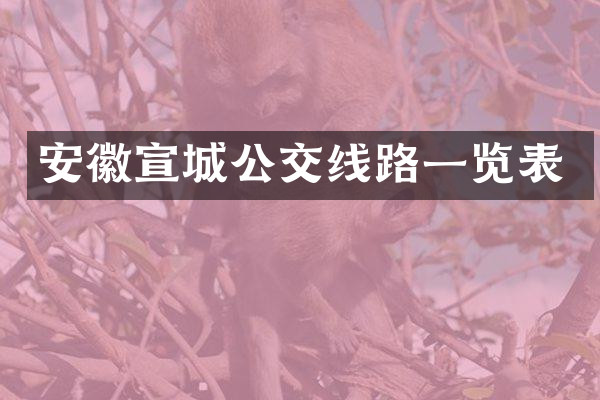 安徽宣城公交线路一览表