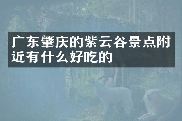 广东肇庆的紫云谷景点附近有什么好吃的