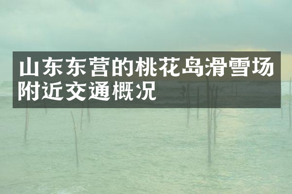 山东东营的桃花岛滑雪场附近交通概况