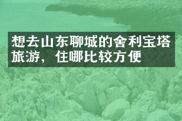 想去山东聊城的舍利宝塔旅游，住哪比较方便