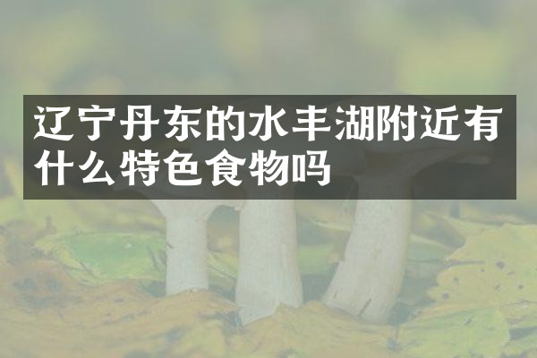 辽宁丹东的水丰湖附近有什么特色食物吗