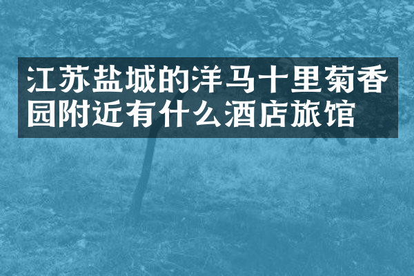 江苏盐城的洋马十里菊香园附近有什么酒店旅馆吗